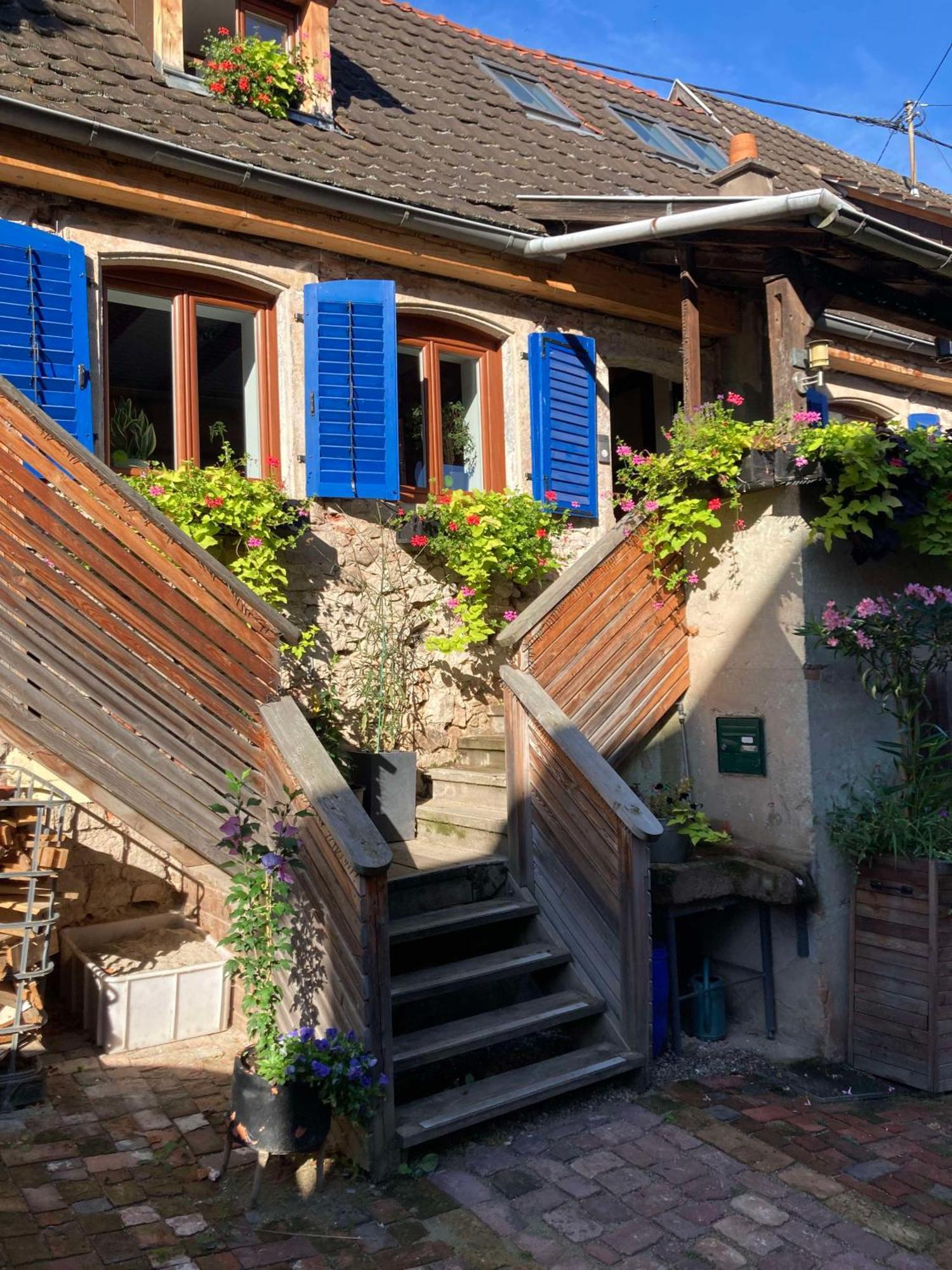 Les Gites Du Raceme Blienschwiller Exterior foto