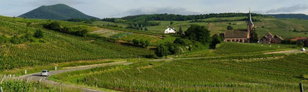 Les Gites Du Raceme Blienschwiller Exterior foto